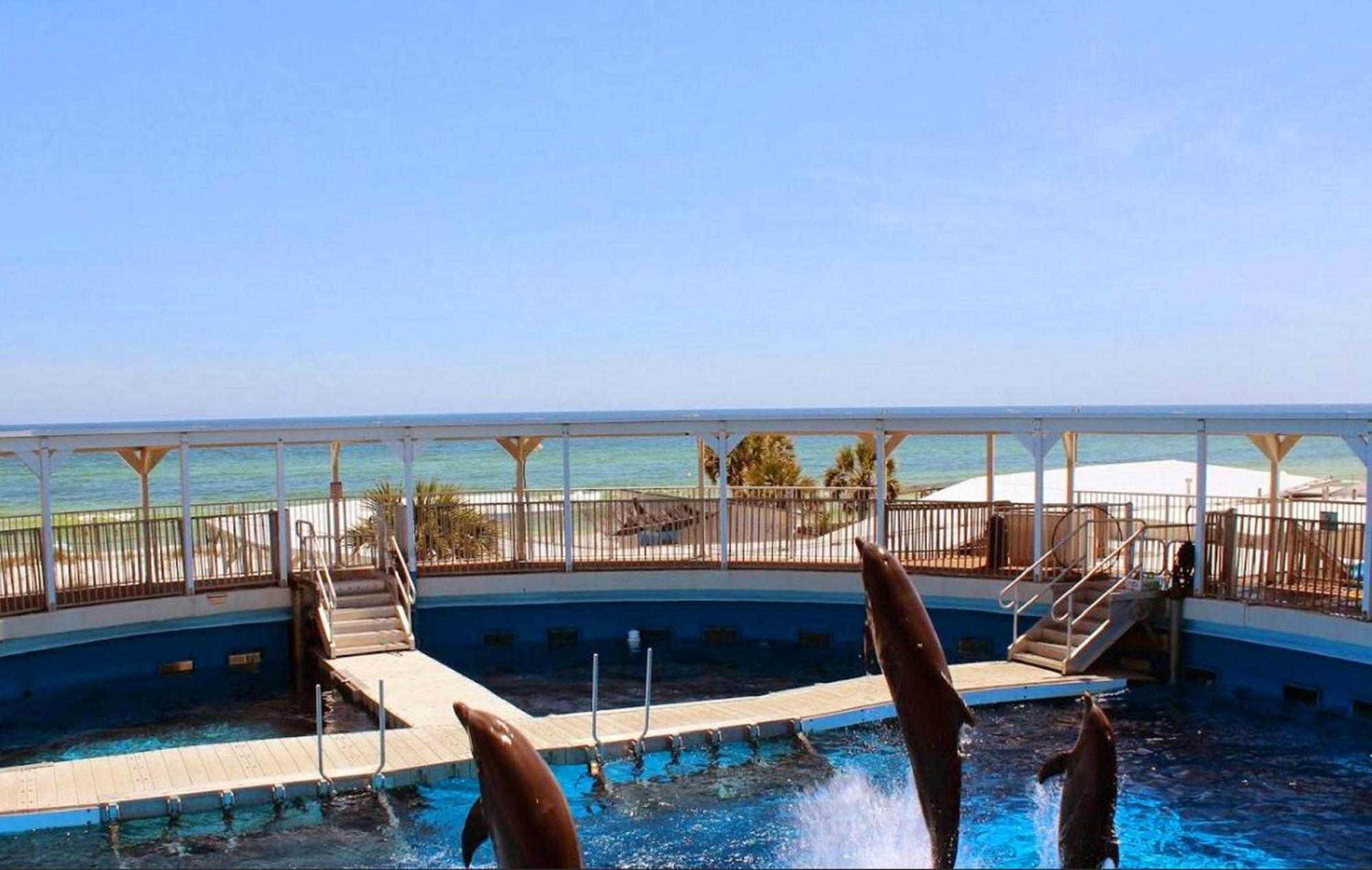 Island Sands 206 Fort Walton Beach Exterior foto